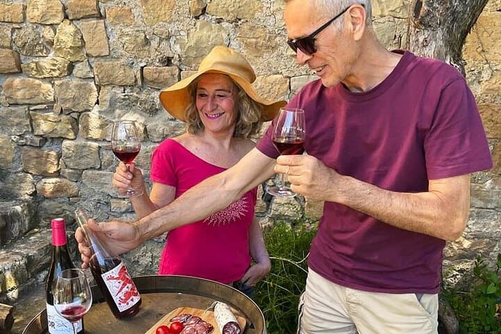 Visit to the Faugères Vineyards with Picnic from Béziers