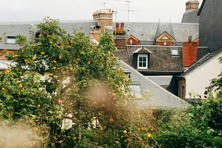 Private Paris Getaway Day Trip to Deauville and Honfleur