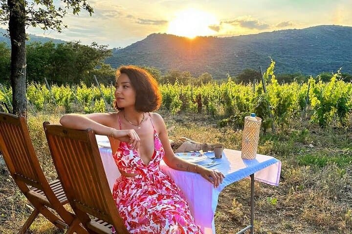 Corsican Wine tasting & Picnic in Saint Florent