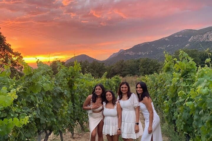 Corsican Wine tasting & Picnic in Saint Florent
