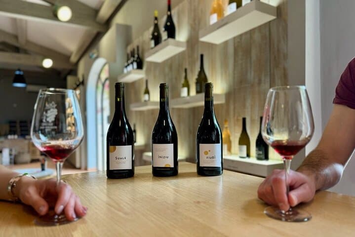 Corsican Wine tasting & Picnic in Saint Florent