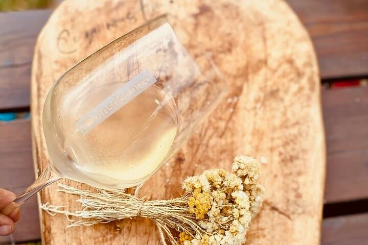 Corsican Wine tasting & Picnic in Saint Florent
