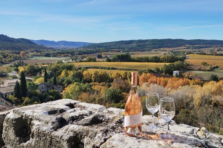 Private Art, Wine and History Tour in Aix-en-Provence