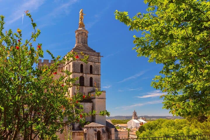 Explore Avignon in 60 minutes with a Local