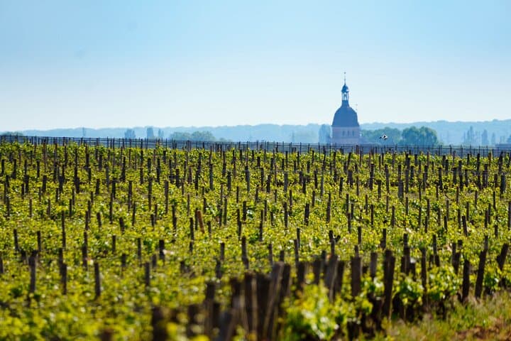 Secrets of Bordeaux Self Guided Tour