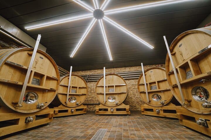 Check-out Reims: Private tour winery and vineyard Domaine Coutant