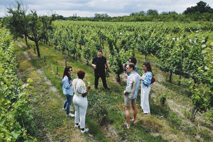 Sustainable Winery Tour and Garden Picnic