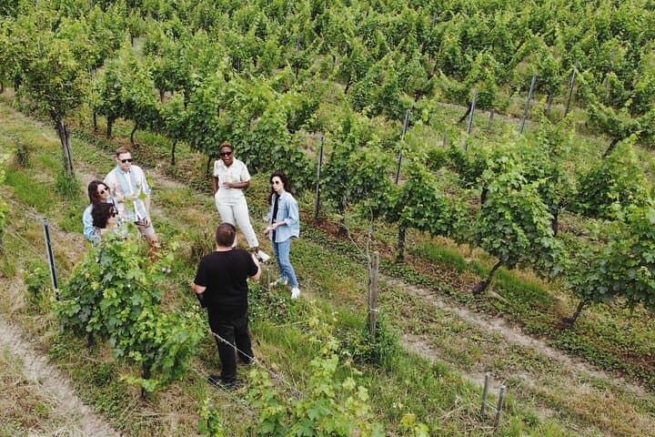Natural Wine Guided Tour & Tasting