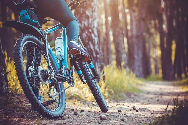 Private Electric Mountain Bike Ride in Annecy