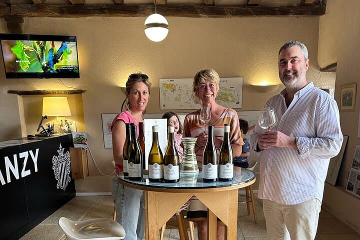 1-day guided tour on the Burgundy Wine Route in a classic car