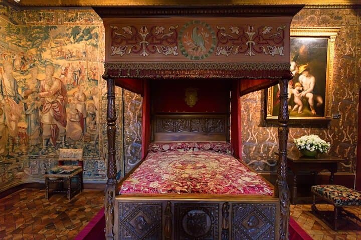 Loire Chambord Chenonceau Da Vinci Castle Private Tour from Paris
