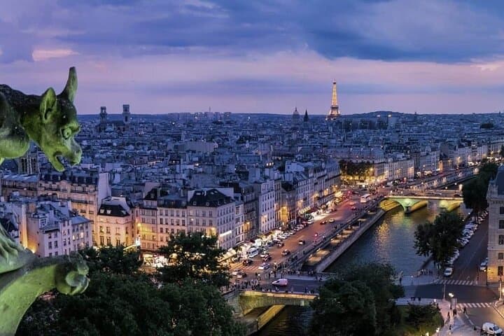 Spectacular Paris Private Walking Tour: Medieval Landmarks