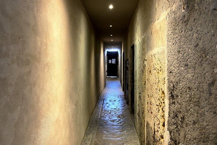 Lyon's Hidden Wine Tasting & Local Specialties