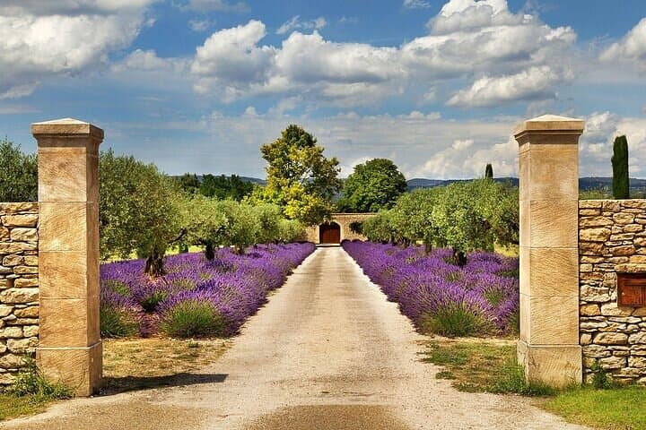 Private French Villages and Wine Tasting Tour from St Tropez port