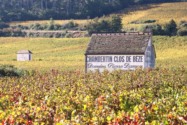 Clos DE Bèze autumn.