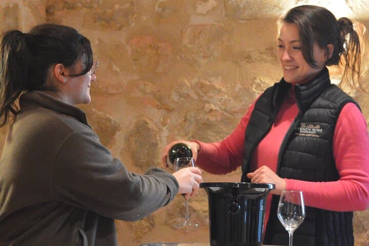 Bordeaux: Explore an Organic Family Vineyard with Tasting