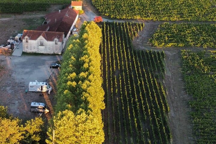 Bordeaux: Explore an Organic Family Vineyard with Tasting