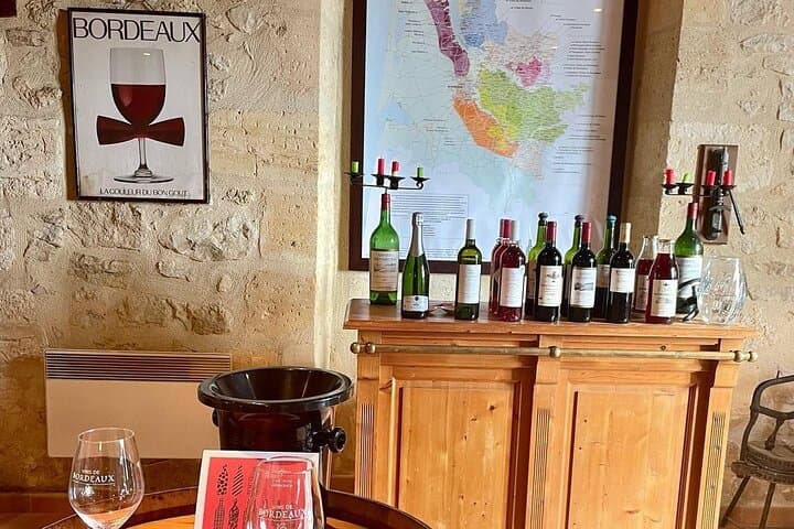 Bordeaux: Explore an Organic Family Vineyard with Tasting