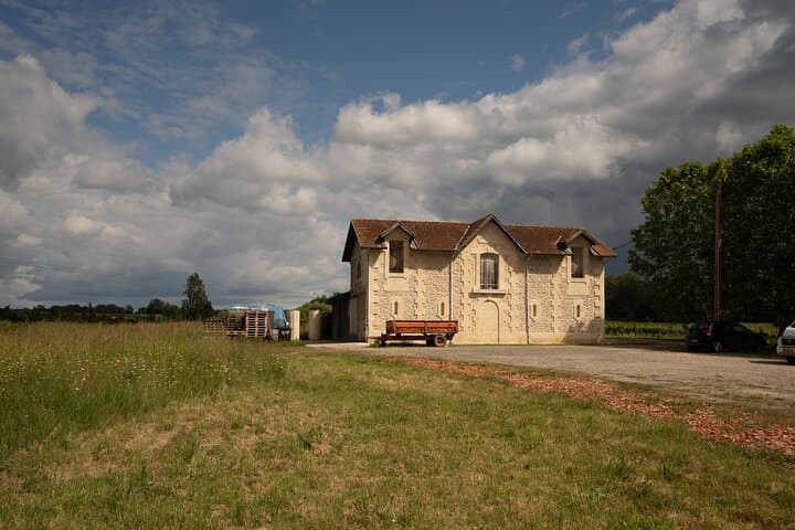 Bordeaux: Explore an Organic Family Vineyard with Tasting
