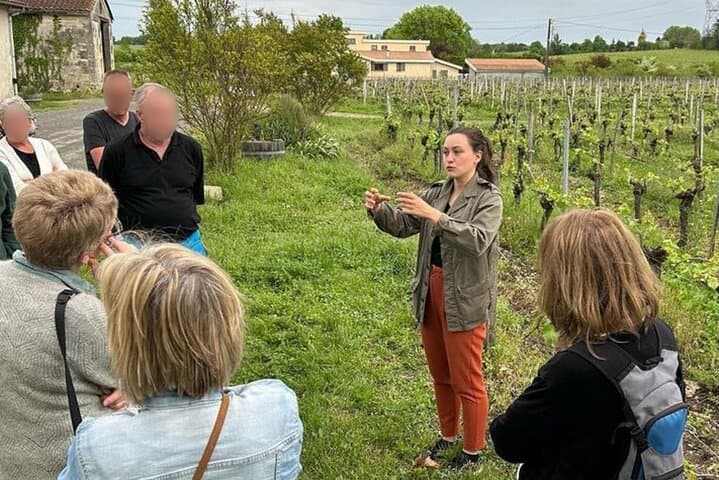 Bordeaux: Explore an Organic Family Vineyard with Tasting