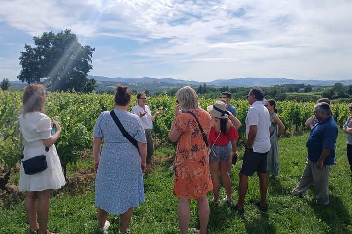 Meet the winemaker