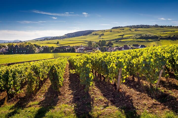 Landscape in Burgundy