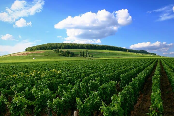 Landscape in Burgundy