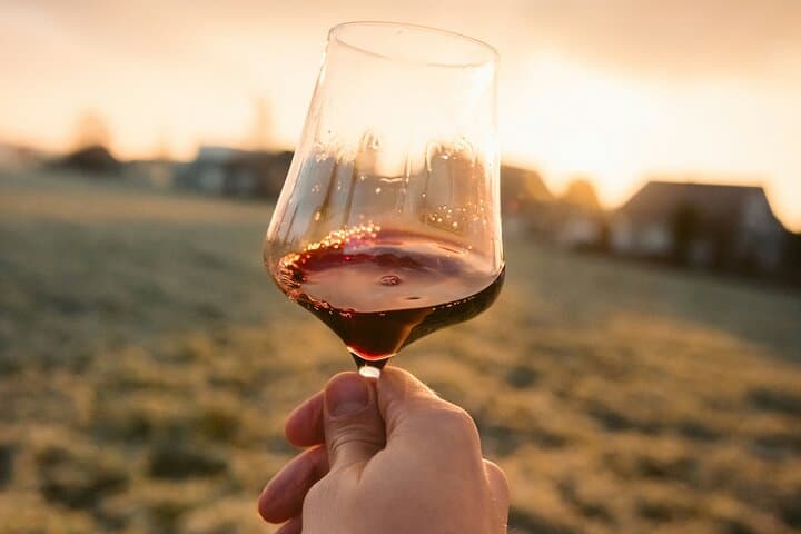 Wine tasting in Burgundy