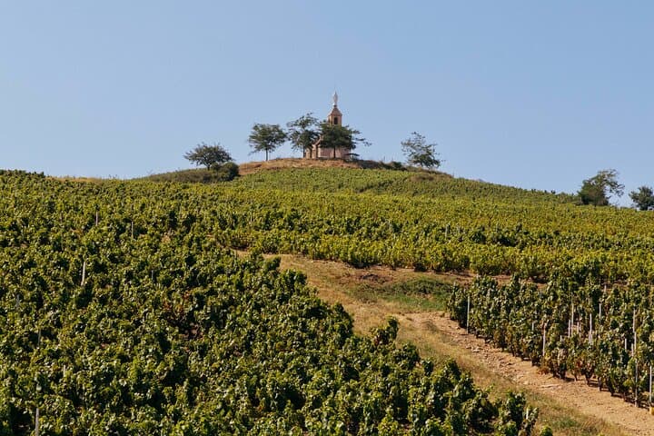 Beaujolais landscape