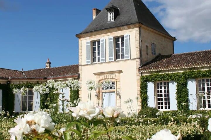 Saint-Émilion & Médoc : Full day with tastings and WSET guide