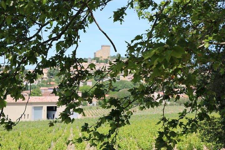 Two intensive days visiting the most famous vineyards of the Châteauneuf-du-Pape & Rhône valley appellation with lunch at two local restaurants with wine paring.