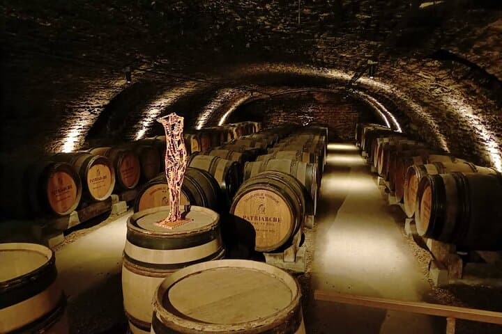 Beaune & Burgundy Vineyards Private Day Trip from Lyon