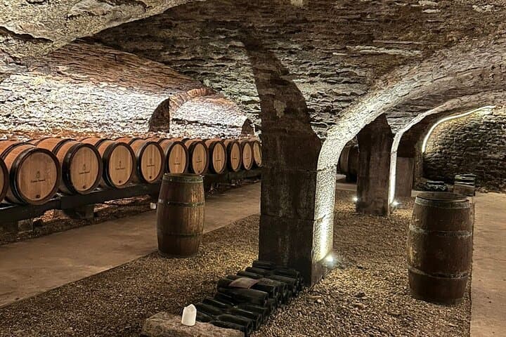 Beaune & Burgundy Vineyards Private Day Trip from Lyon