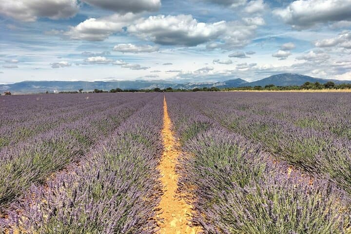 Gorges du Verdon : Lavenders, Canyon Boat Picnic & Villages
