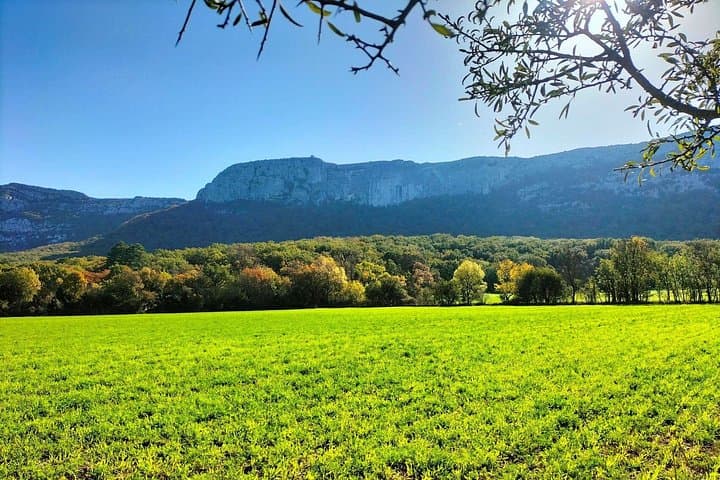 On Mary Magdalene Path : Cave, Relics & Sainte-Baume Secrets