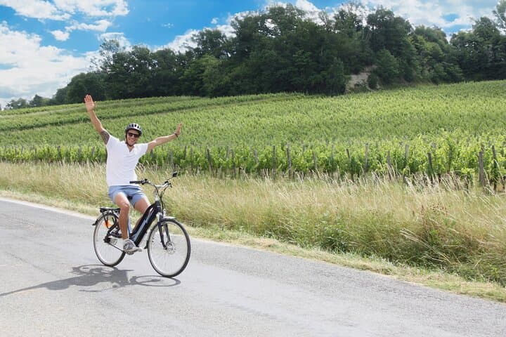 Bordeaux Wine Trails: Saint Emilion Full Day Wine and Bike Tour