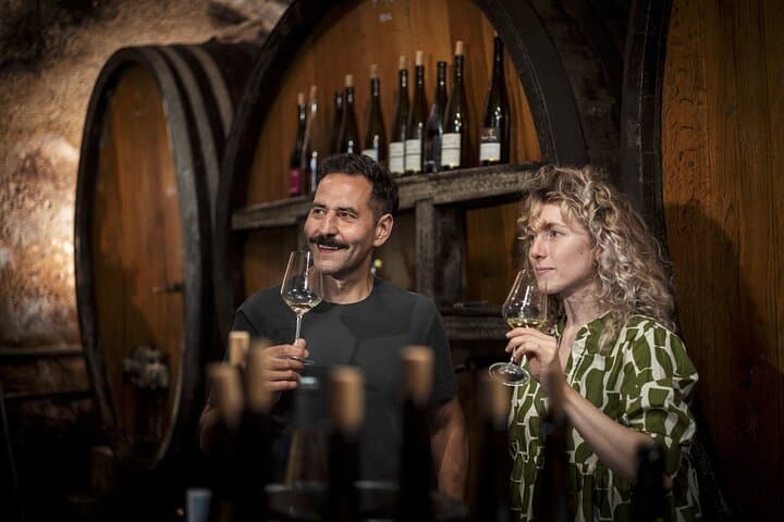 Private Discovery Alsace Wine Tour from Colmar, Basel or Mulhouse