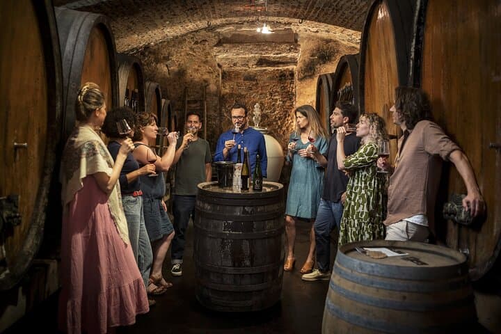 Private Discovery Alsace Wine Tour from Colmar, Basel or Mulhouse