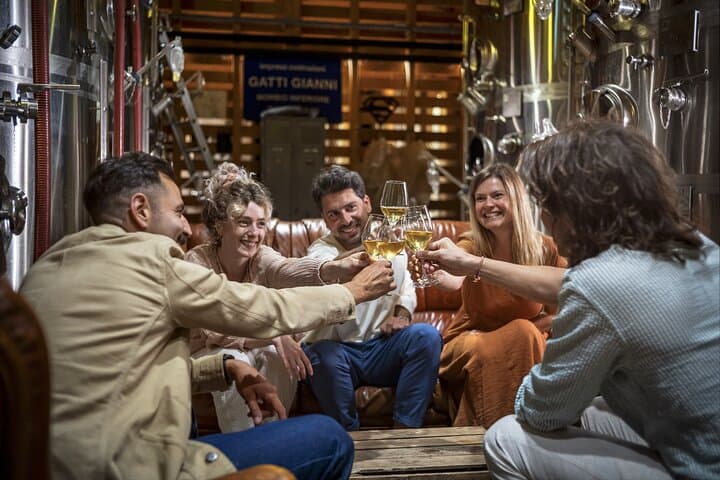 Private Discovery Alsace Wine Tour from Colmar, Basel or Mulhouse