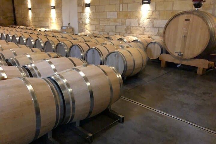 Visit of the Vineyards Saint Emilion and Medoc Day