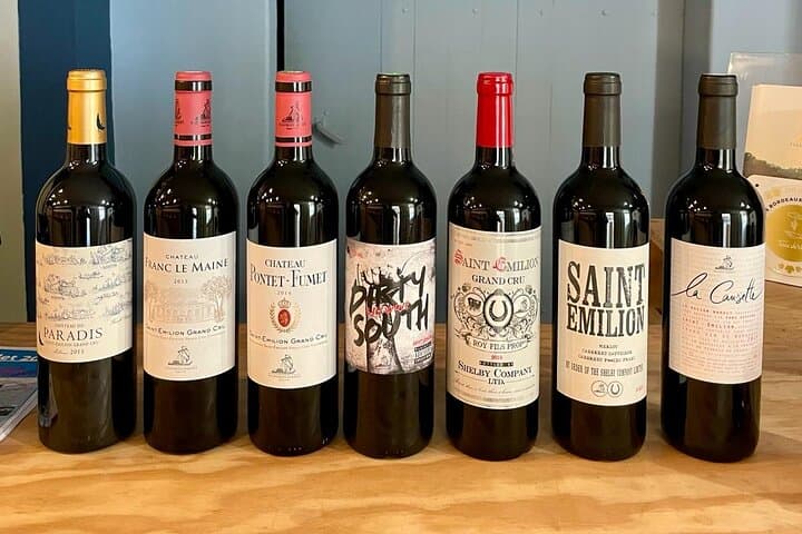 Visit of the Vineyards Saint Emilion and Medoc Day