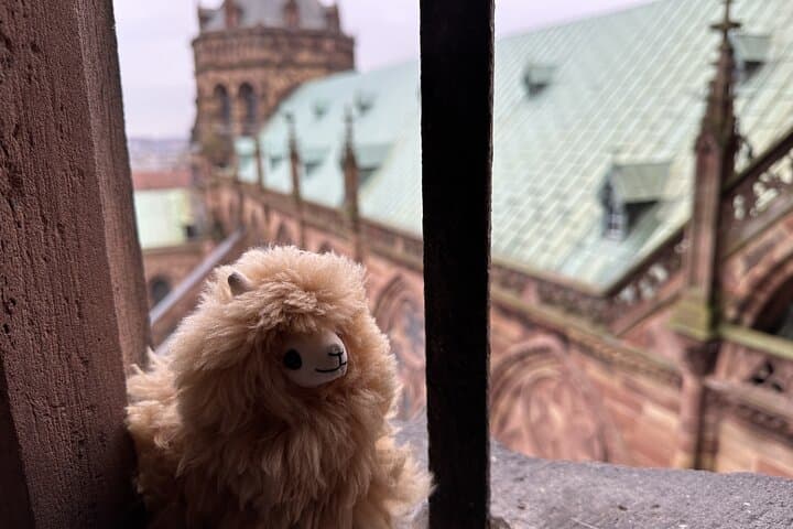 Alsace: Colmar, Villages & Castle Private Guided Full Day Tour