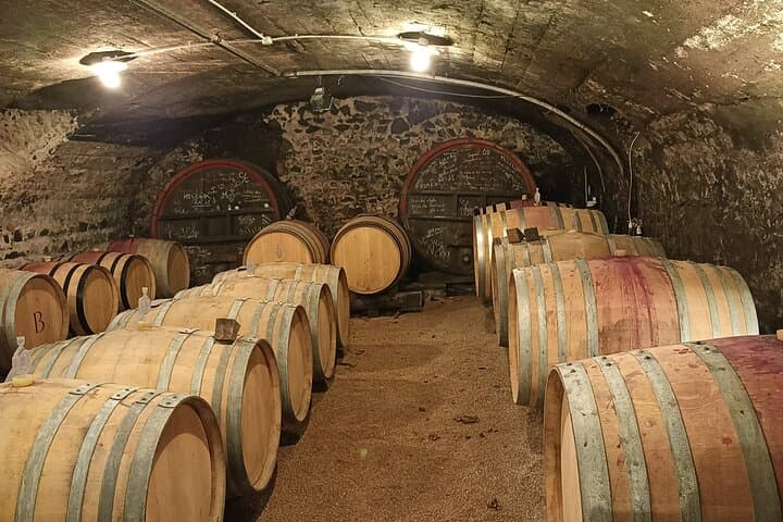 Wine-Tour SUD BURGUNDY: The Maconnais and the Crus du Beaujolais