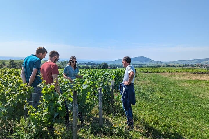 Wine-Tour SUD BURGUNDY: The Maconnais and the Crus du Beaujolais