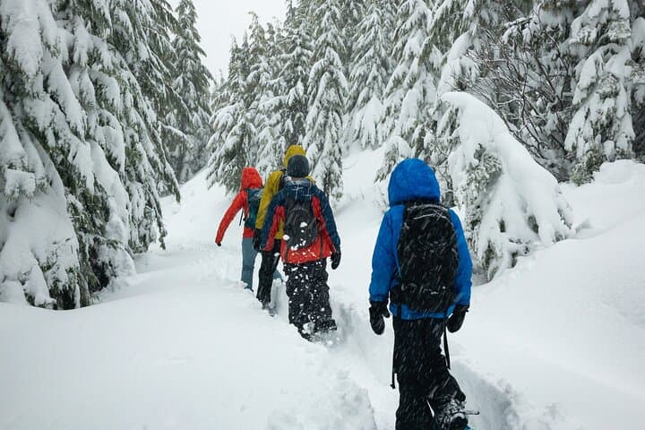 Private Chamonix Snowshoeing Experience Under the Stars tour