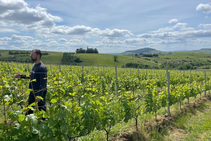 Private Beaujolais wine tour