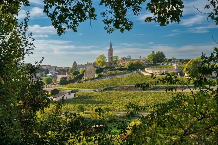 Walk through historic vineyards and discover Bordeaux terroir