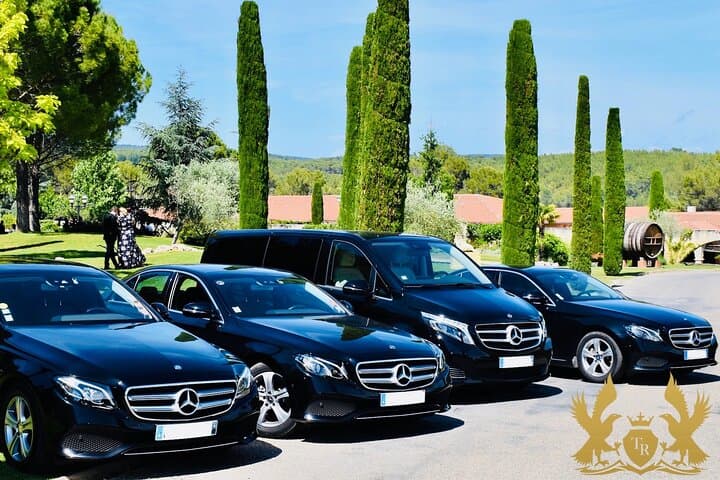 Private transfer from Nice Airport by Antibes Taxi