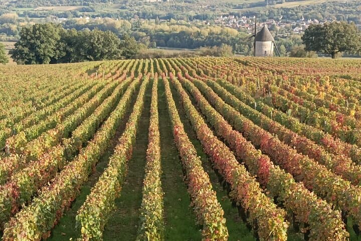 Private tour in Burgundy with your professional guide!