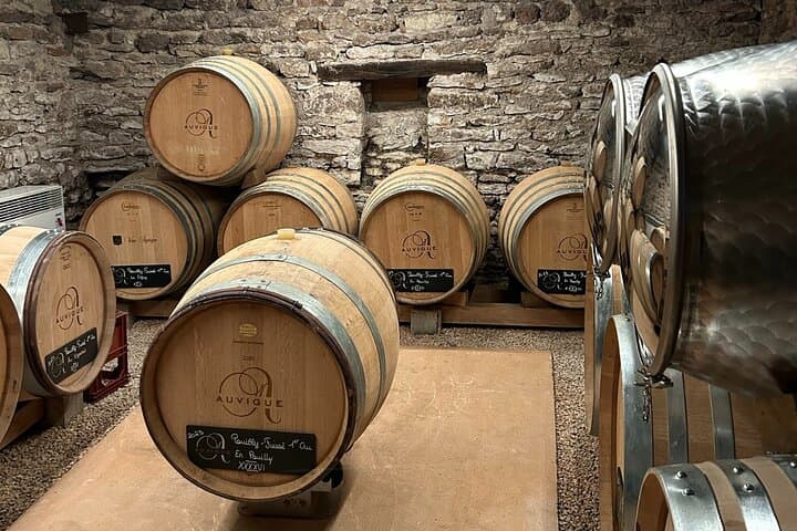 South Burgundy Private Day Tour with tasting from Lyon